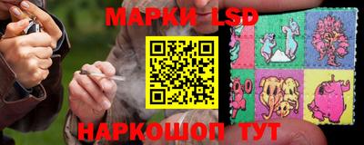 ПСИЛОЦИБИНОВЫЕ ГРИБЫ Краснодар