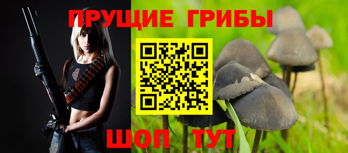 Галлюциногенные грибы Cubensis  Вход с VPN  Псилоцибиновые грибы мицелий  наркотики  Зеленодольск 